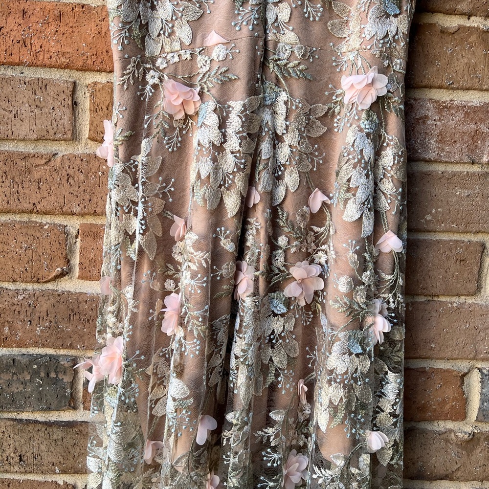 Dress the Population Blush Floral Embroidered Tulle Long Dress - Picture 7 of 16